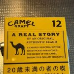 Camel Craft 12mg Cigarette - Image 2